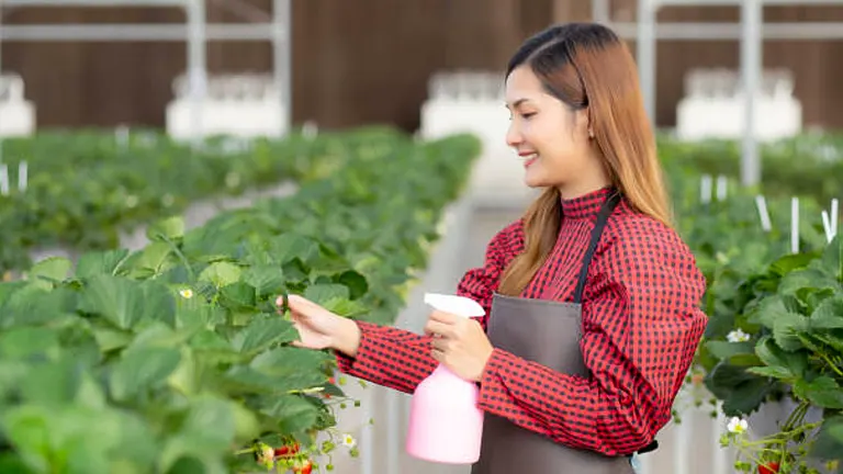 A smiling woman in a red checkered shirt and apron tending to strawberry plants in a greenhouse, holding a pink spray bottle.