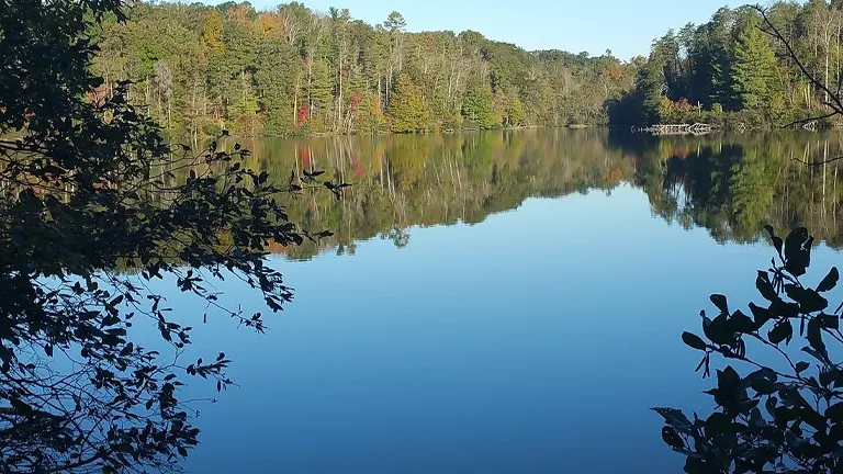 A tranquil lake reflecting the blue sky and autumn-colored trees in a forest, with clear, calm waters and foliage in the foreground.

