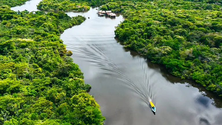 The 10 Best Rainforests in the World to Explore in 2024