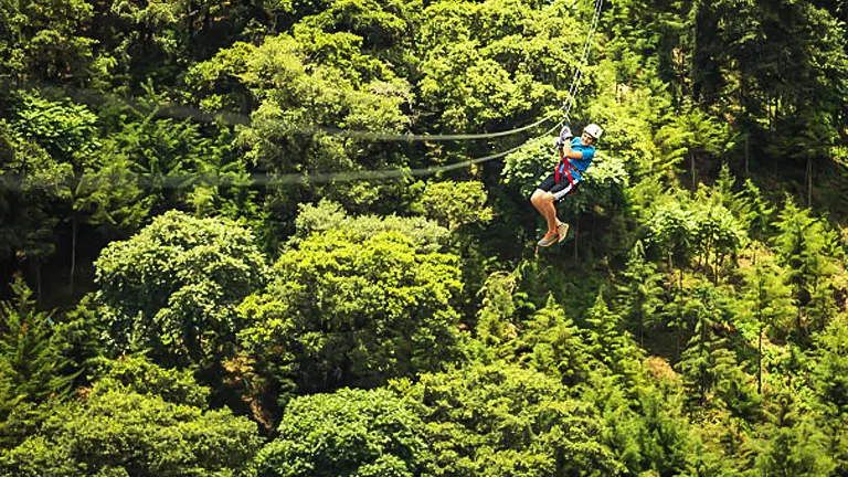 A person in a blue shirt and shorts ziplining over a dense canopy of trees.