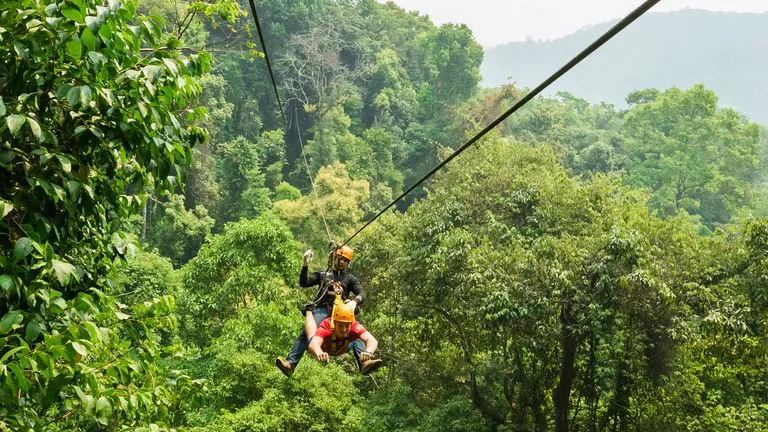 Two people, one in front of the other, are zip-lining through a dense, green forest, with foliage in the foreground and background.
