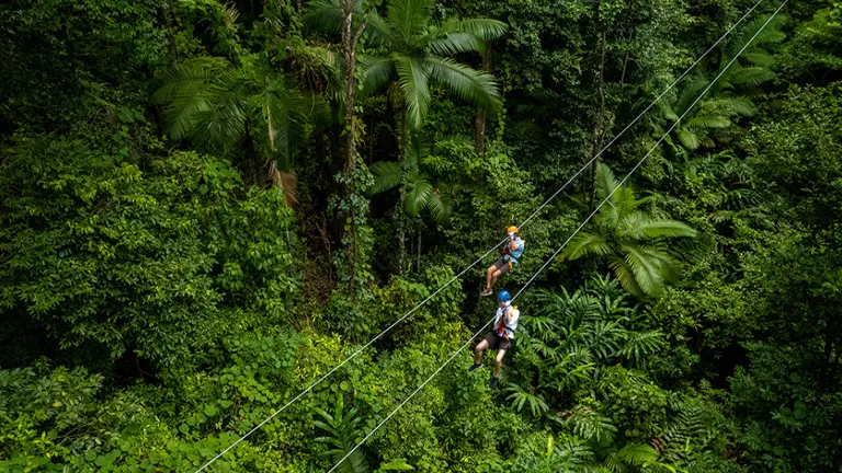 Two individuals wearing helmets and harnesses are zip-lining over a dense tropical rainforest, surrounded by lush greenery.

