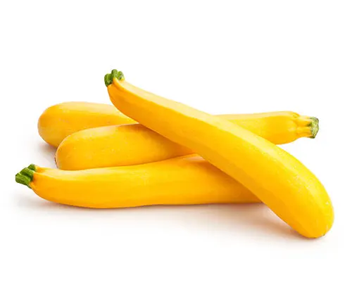 Three vibrant yellow summer squash arranged neatly against a white background.


