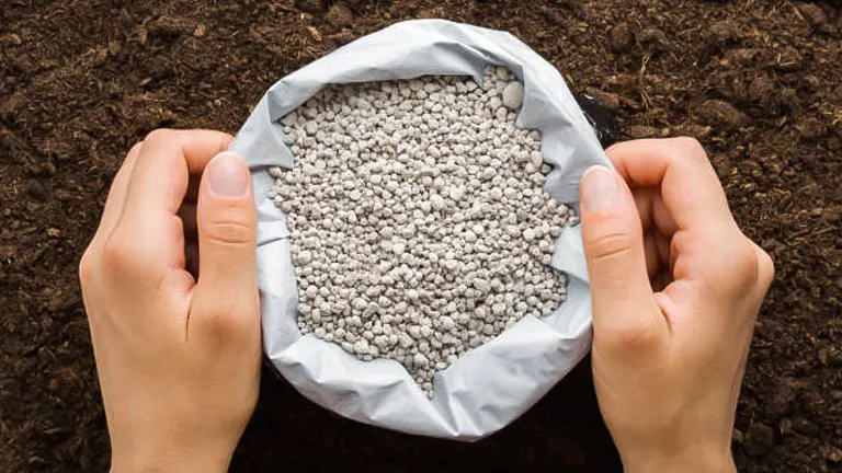 Two hands holding an open bag of gray granular fertilizer above a rich soil background, ready for application.
