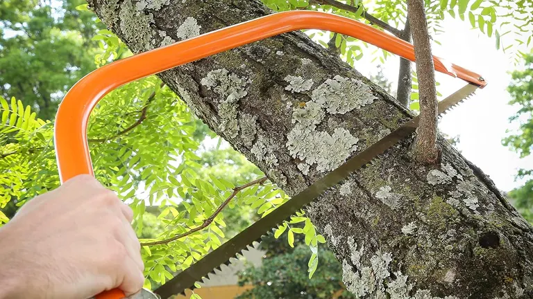 A person sawing a tree branch with an orange bow saw, showcasing the tool's use in tree pruning.