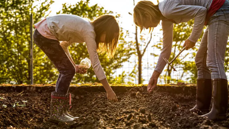Two people gardening together at sunset, planting seeds in a well-tilled bed, evoking the joy of shared springtime gardening.