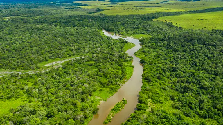 Overhead view of a meandering muddy river flowing through a dense green rainforest with a clear boundary where the forest meets open grassland.