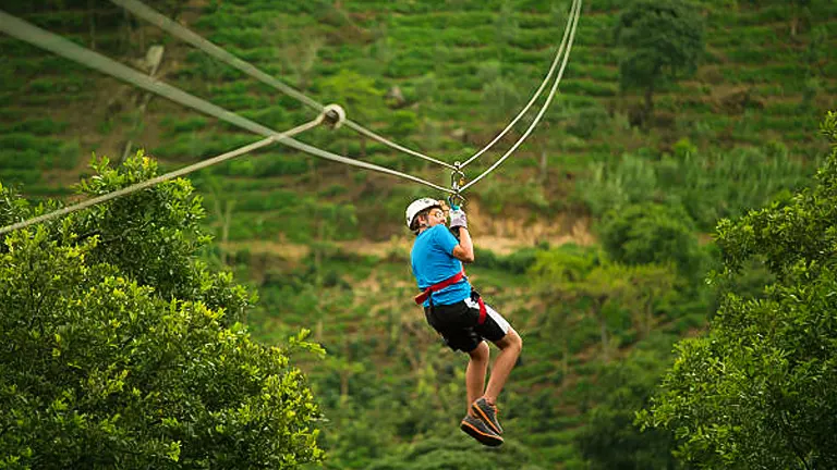 A person ziplining above green foliage with a hillside in the background