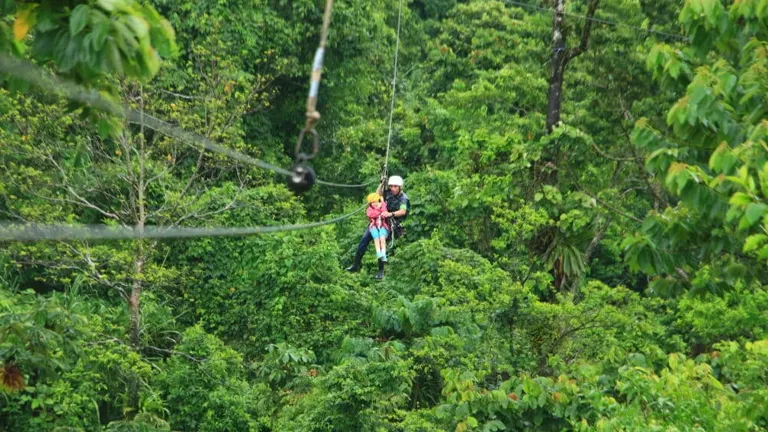 Two people ziplining together above a lush green tropical forest, one behind the other on the same line.