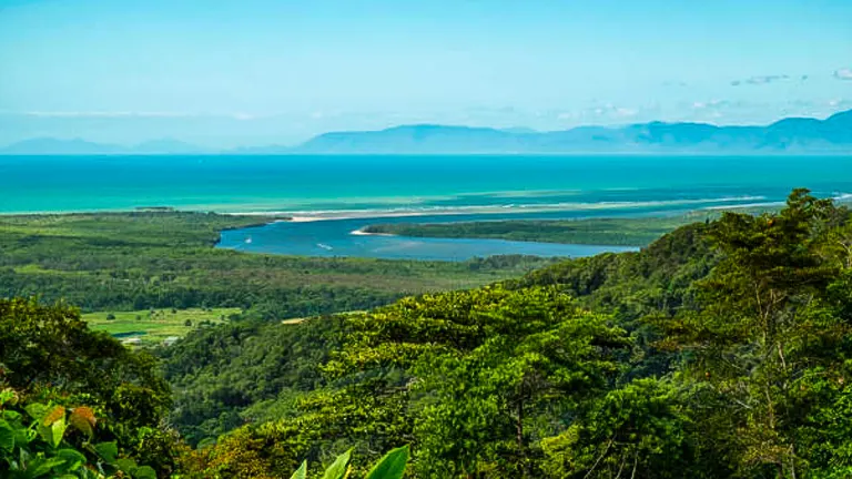 Expansive view from a high vantage point showing lush rainforest foliage in the foreground, with a river delta leading into a turquoise sea, and distant mountains under a clear blue sky.