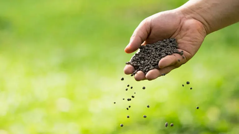 A hand scattering granular fertilizer onto a lawn, with a green background soft in focus.
