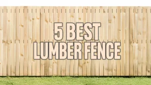 5 Best Fence Lumber