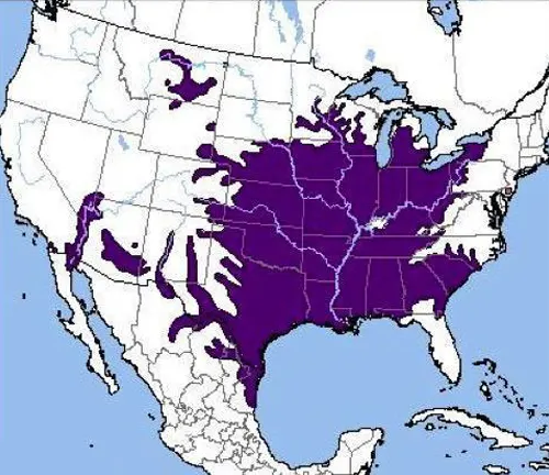 Map of the United States with purple areas highlighting habitats of Softshell Turtles.