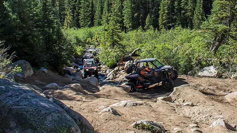 A line of off-road vehicles navigating a rocky trail through a dense conifer forest, showcasing a mix of technical terrain and natural beauty.


