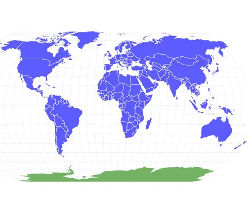 The world map depicted in blue and green colors, showcasing the Skimmer Dragonfly.