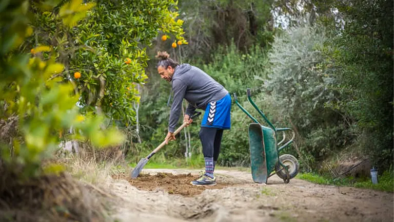 A woman in a grey jacket and blue skirt digs soil with a shovel near a green wheelbarrow, with orange trees and lush greenery in the background.