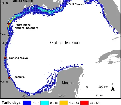 A map displaying the Gulf of Mexico, with the added detail of a "Kemp's Ridley Sea Turtle".