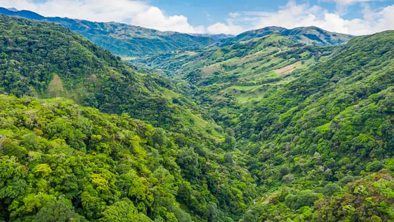 Lush greenery blankets rolling hills in the Monteverde Cloud Forest, with a clear sky above and the Pacific Ocean in the distance, capturing the essence of this rich, biodiverse Costa Rican habitat.