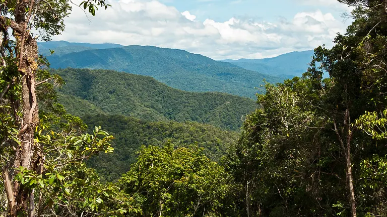 A panoramic view of the dense, layered canopy of the Monteverde Cloud Forest, with mountain ranges rolling in the distance under a blue sky with scattered clouds.