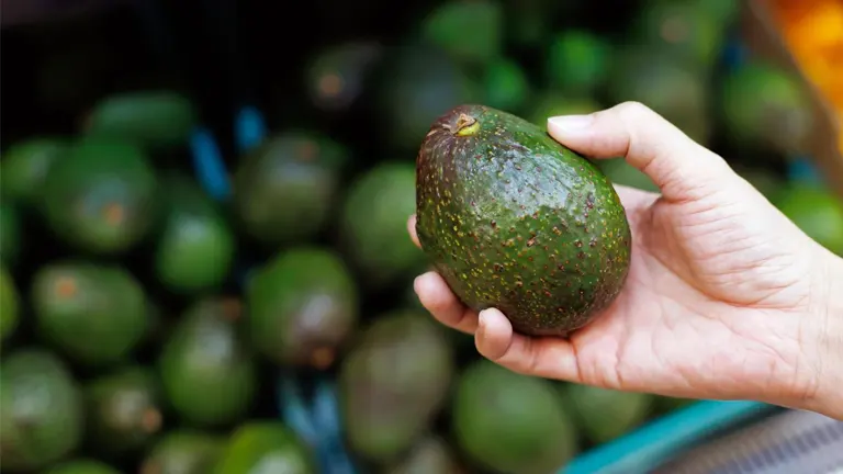 Person holding avocado