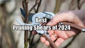 Best Pruning shears of 2024