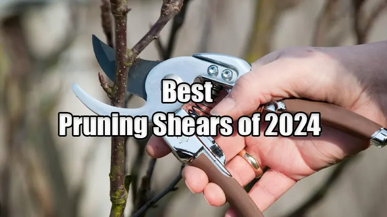 Best Pruning Shears of 2024