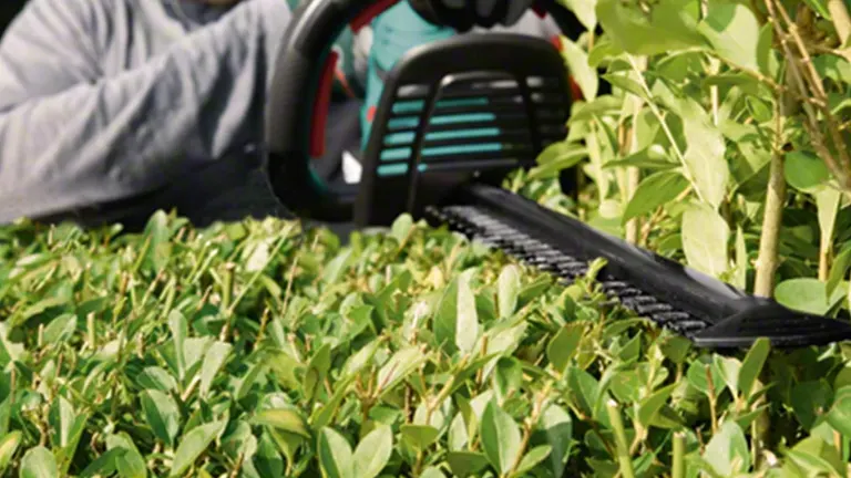 Person using Bosch AHS 50-20 trimming hedge