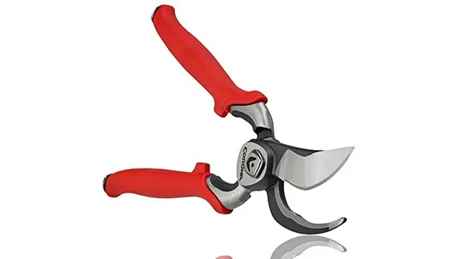 Corona BP 7100D Hand Pruner with open blades and red handles.