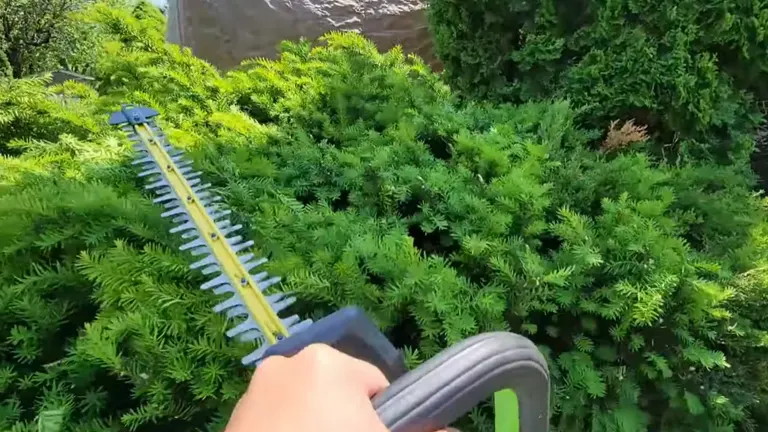 Person cutting hedge using EGO Power+ HT2411