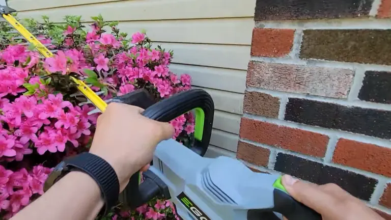 Person trimming hedge using EGO Power+ HT2411