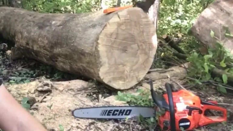 Echo CS 490 Chainsaw Cutting big log and sitting in the forest