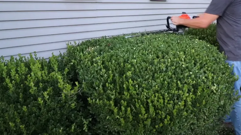 Person using Echo HC-2020 Gas Powered trimming hedge