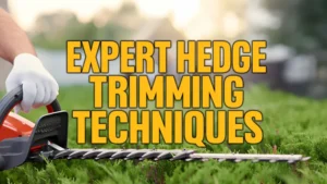Expert Hedge Trimming Techniques