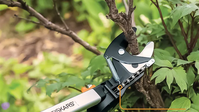FISKARS extendable pole pruner in action, cutting through a thick branch surrounded by green foliage