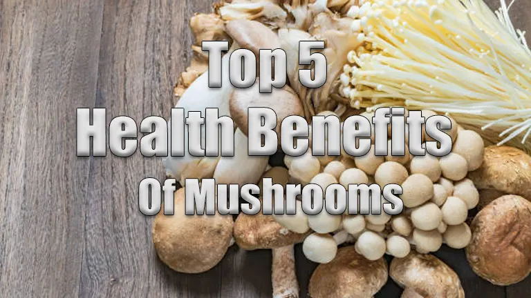 Top 5 Remarkable Health Benefits of Mushrooms