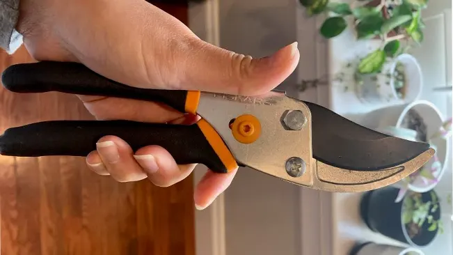 Hand holding Fiskars Bypass Pruning Shears with black and orange accents