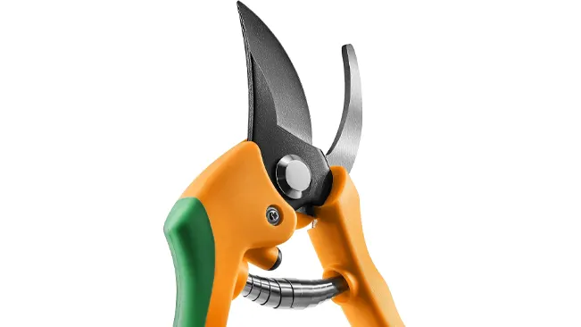 Close-up of GRÜNTEK FLAMINGO Pruning Shears with orange and green handles.
