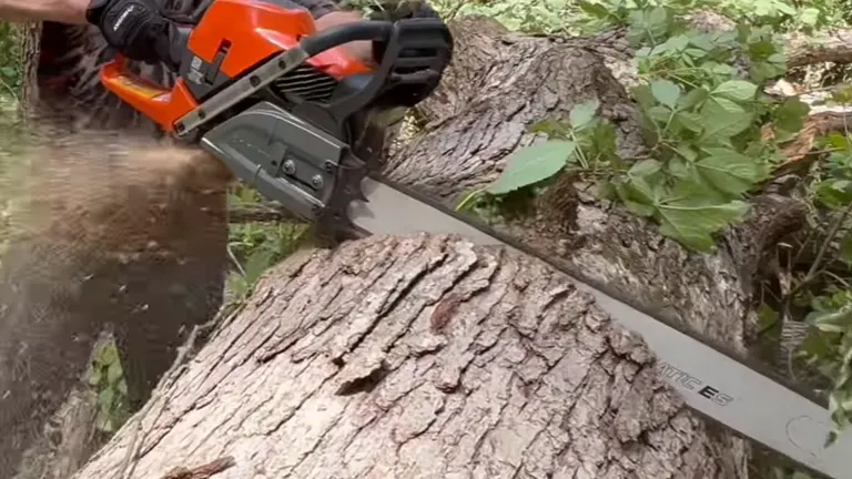 Person cutting felled tree using Husqvarna 592 XP Chainsaw