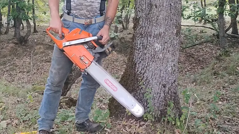 Person standing near the tree holding Husqvarna 372 XP Chainsaw