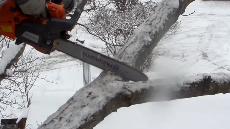 Person cutting the branch of the tree using Husqvarna T435 in a snow area