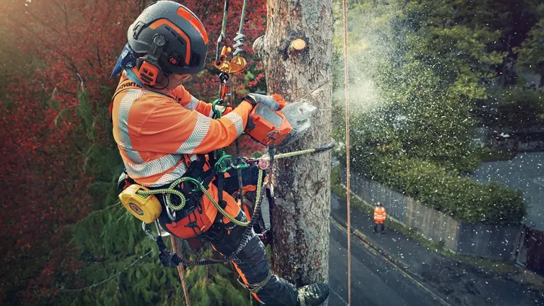 An arborist cutting on the top of the tree using Husqvarna T540i XP Chainsaw