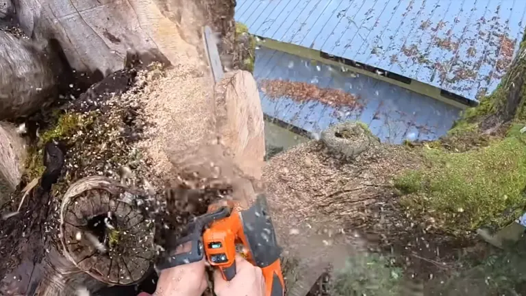 Person cutting cookie slab on the top of the tree using Husqvarna T540i XP Chainsaw