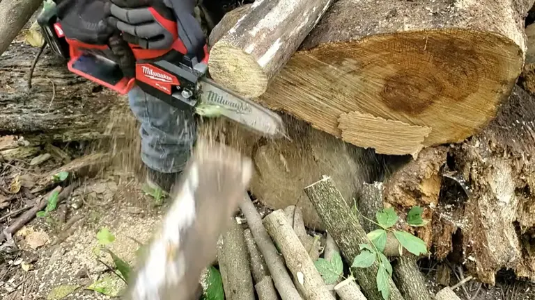 Person cut the 3 meter log using Milwaukee M12 FUEL Pruning Saw
