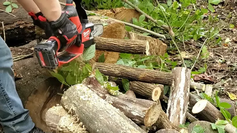 Person cutting branches using Milwaukee M12 FUEL Pruning Saw 