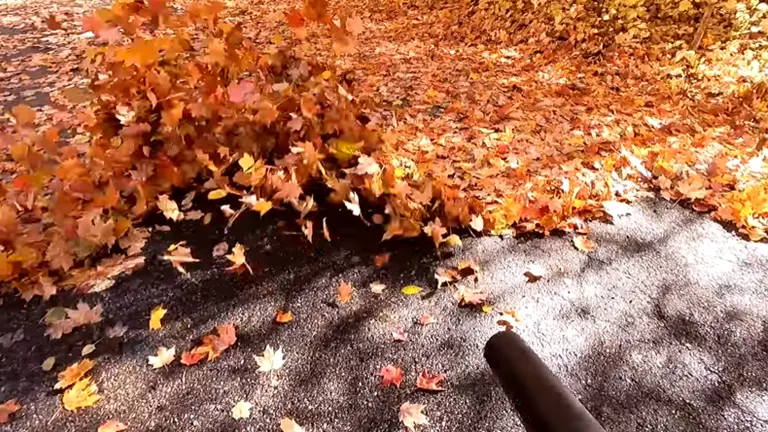 Milwaukee M18 Blower blowing a lot of maple leaves