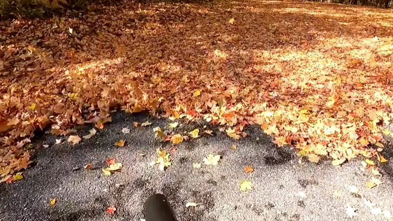 Person using Milwaukee M18 Blower blowing a lot of maple leaves