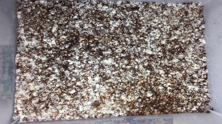 Mushroom Bulk Substrate