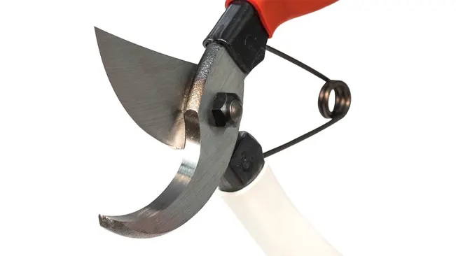 Close-up of the blade and spring mechanism on Okatsune 103 Bypass Pruners