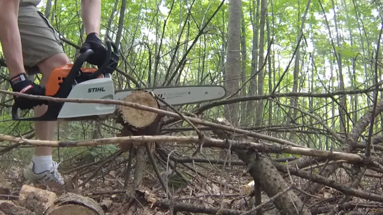 Person cutting logs using STIHL MS 171 Chainsaw in the woods