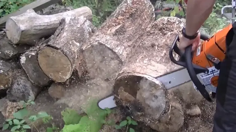 Person cutting the log using STIHL MS 461 Chainsaw